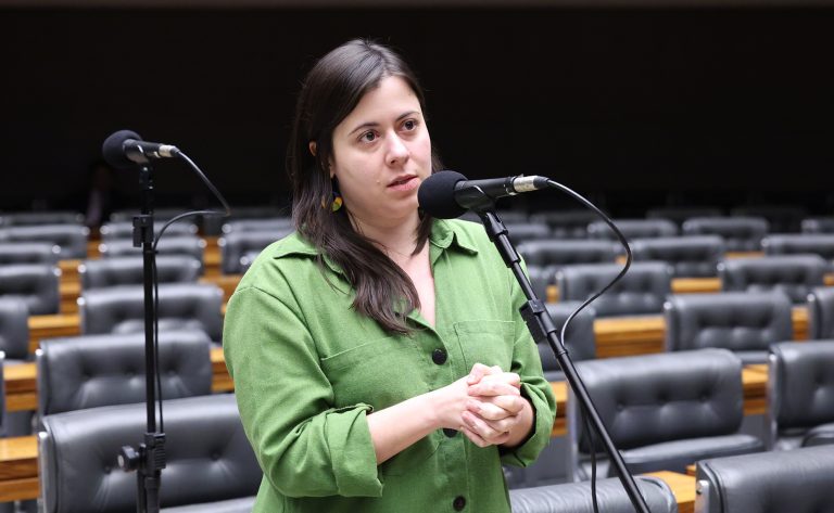 Projeto proíbe acesso a armas de fogo para quem responde por medida protetiva de urgência