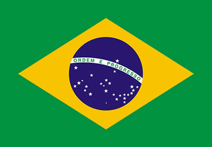 Traduzir para Português
